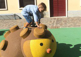 IMG_5539